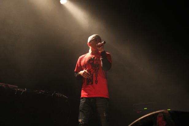 he Mighy Crown Sound System, Live in Marseille , France - Photo : Fred reGGaeLover P. 2013